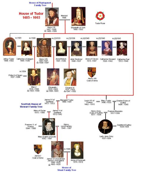 who was the first tudor king|descendants of henry vii england.